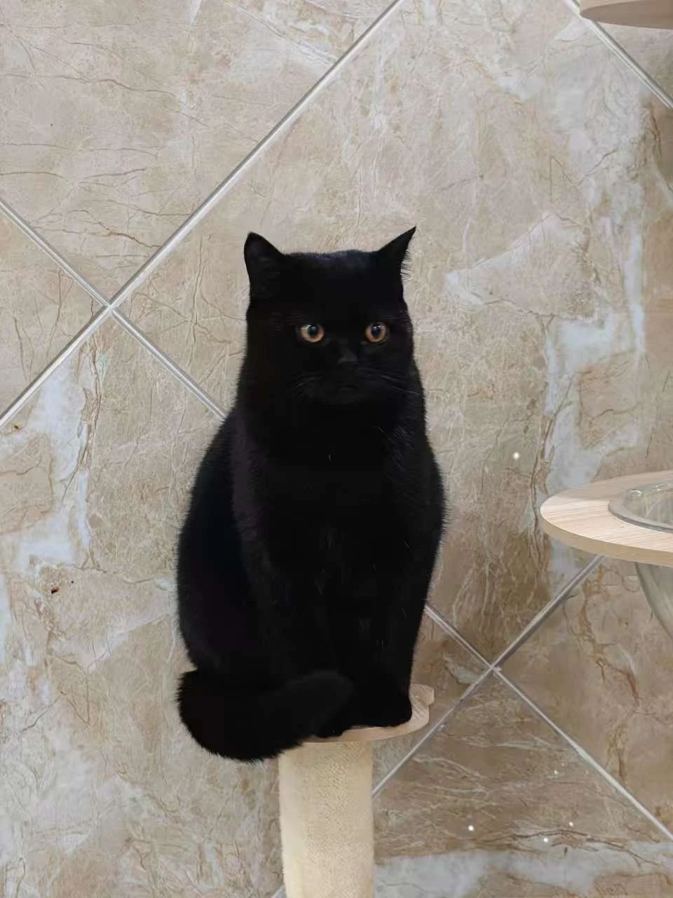 说说：#1741785120